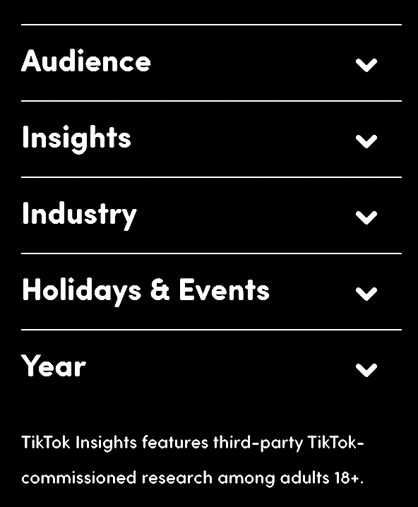 TikTok Insights 2