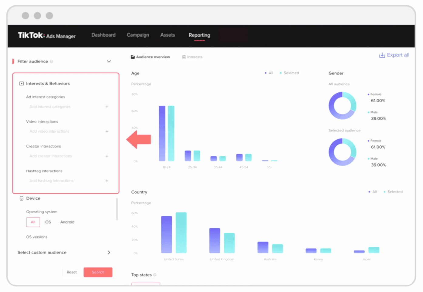 TikTok Audience Insights